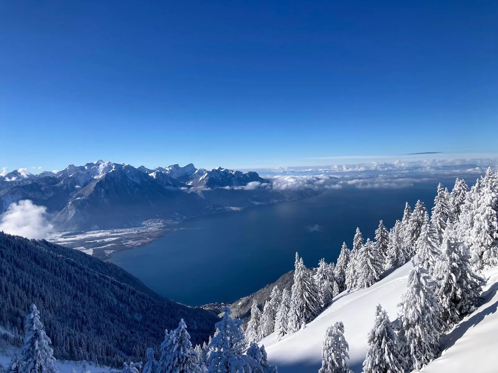 [background image] image of private dining room setup (for a mexican restaurant).