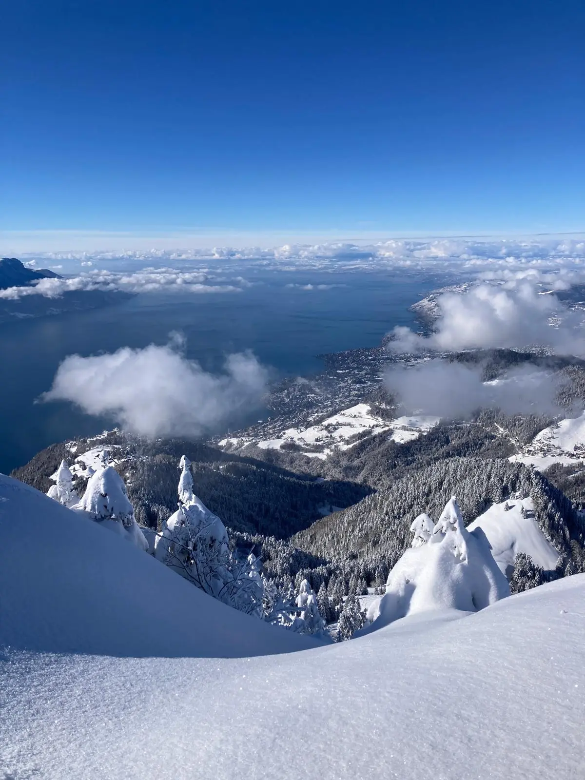 image of plated gourmet dish