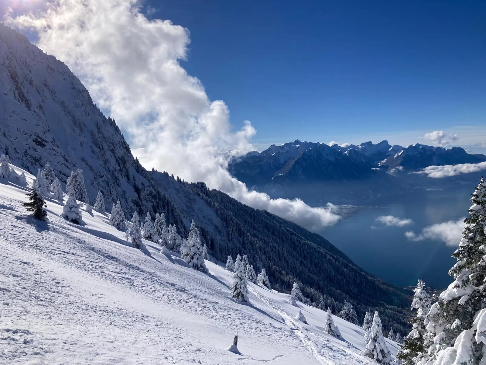 image of beautiful wedding venue (for a wedding planning service) [background image]