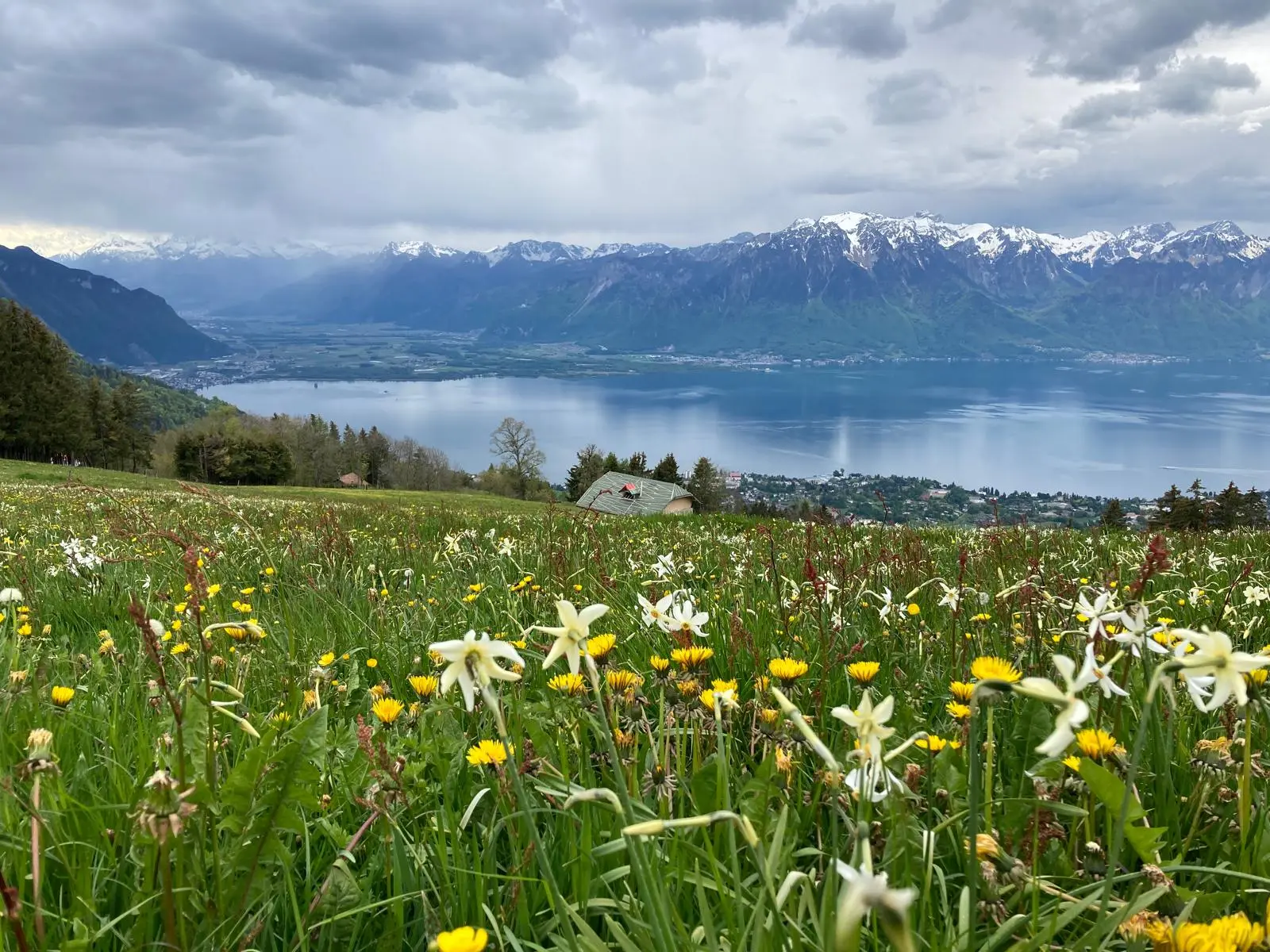 image of curated seasonal dishes for a modern restaurant