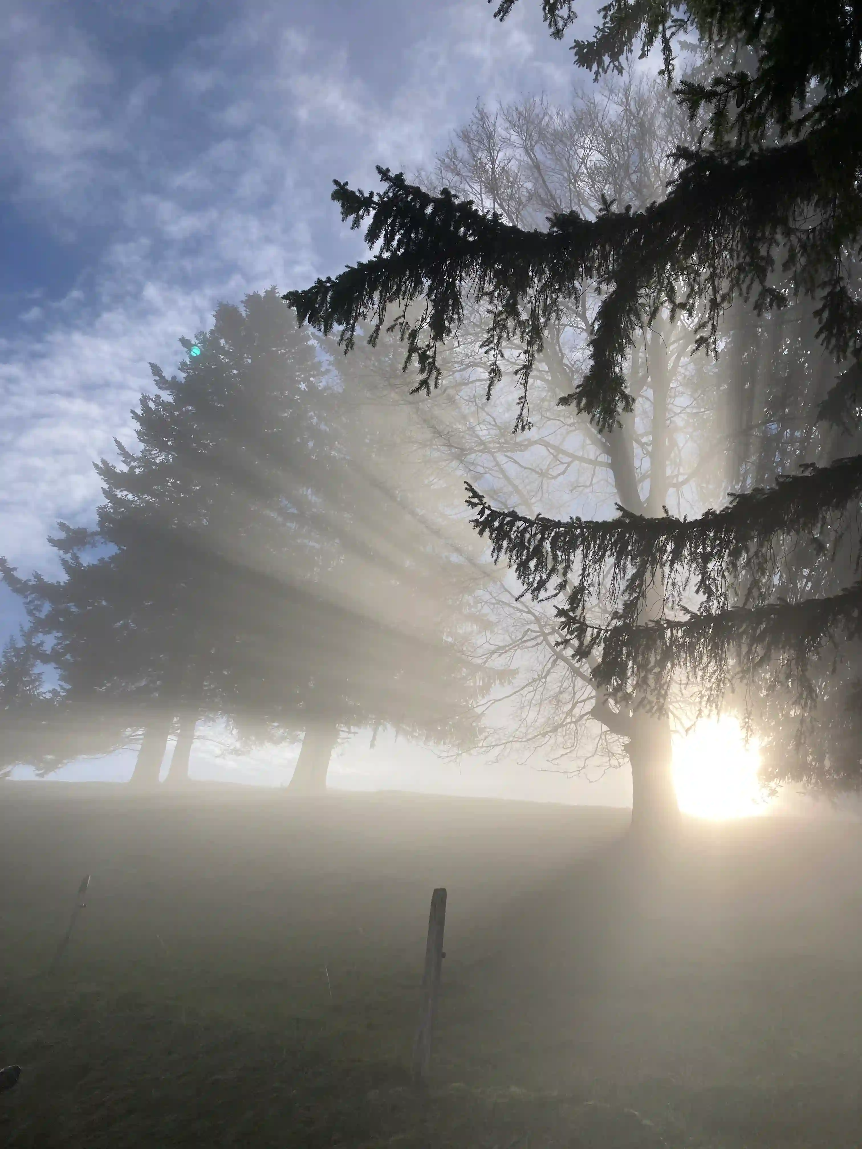 [background image] image of a welcoming restaurant table setup (for a modern restaurant)