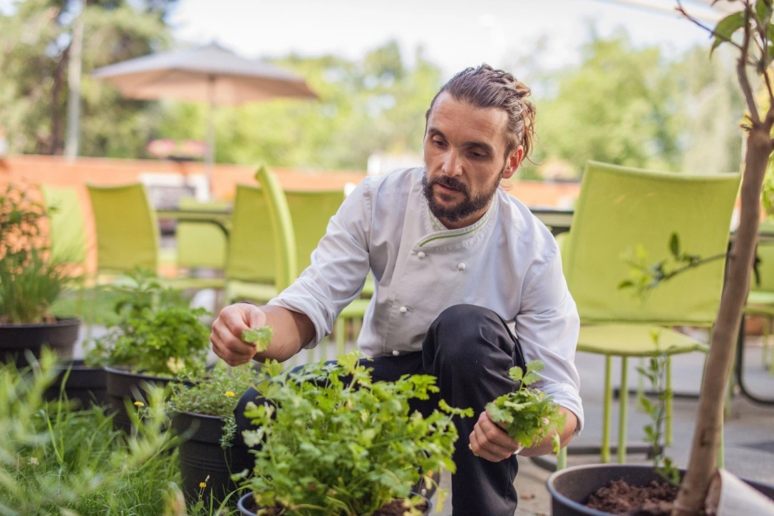 image of beautiful wedding venue (for a wedding planning service) [background image]