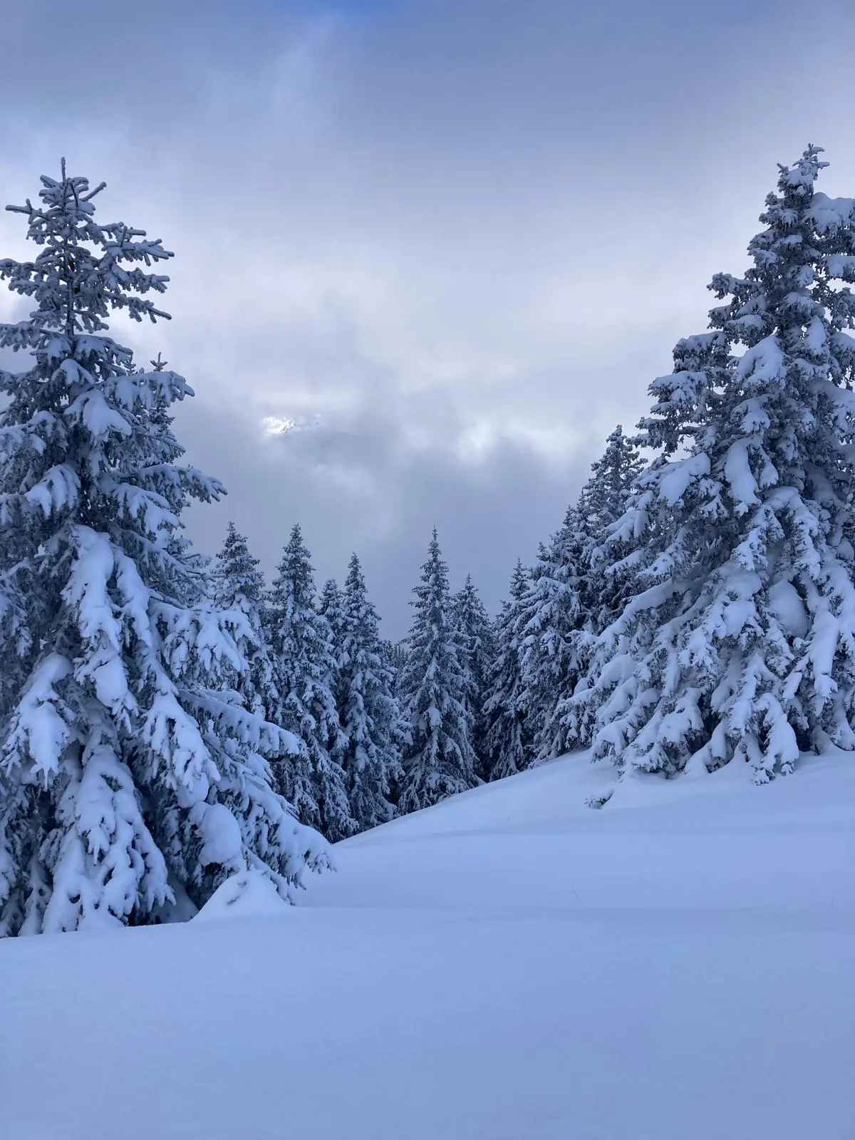 image of signature dish (for a fine dining restaurant)