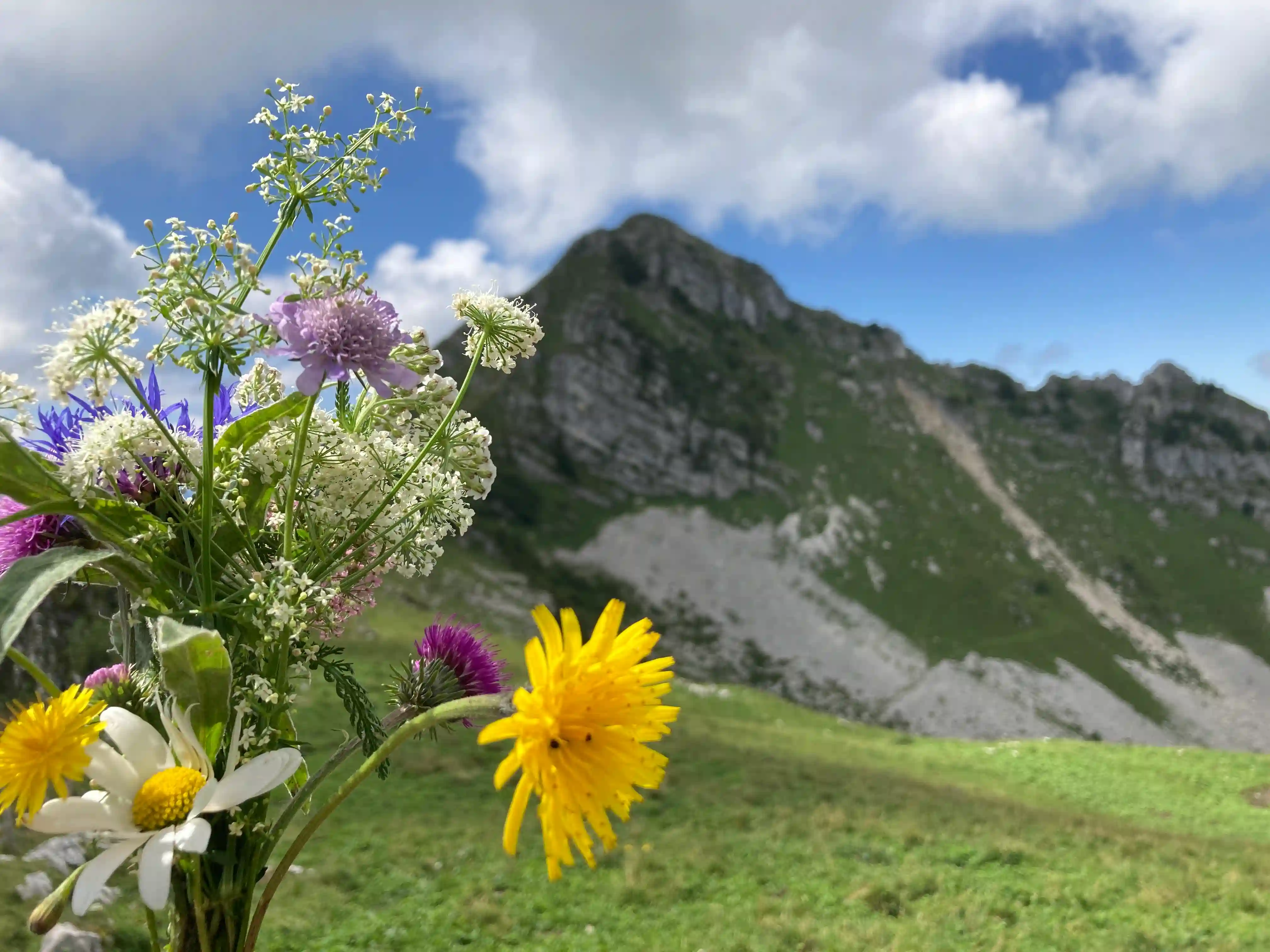 [background image] image of a welcoming restaurant table setup (for a modern restaurant)